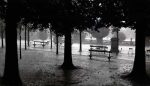 Robert Bared - Meilleure image du concours - Jardin sous la pluie